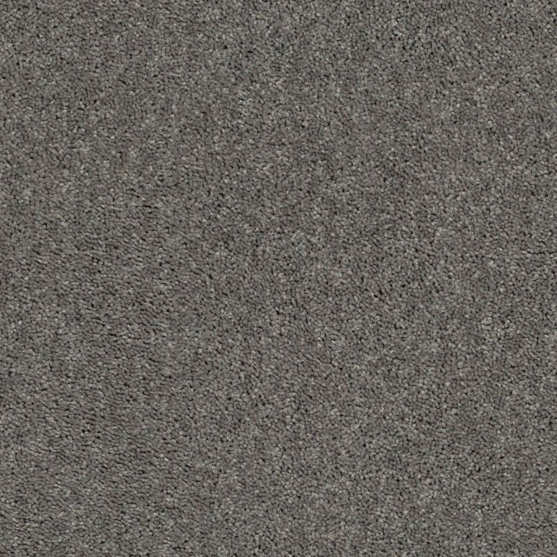 Shaw Floors Cabana Bay Solid Tree Bark