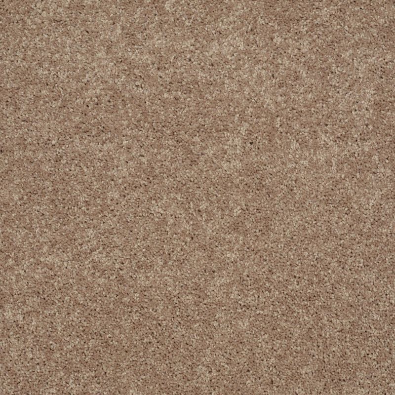 Shaw Floors Simply The Best Cabana Life Solid Camel