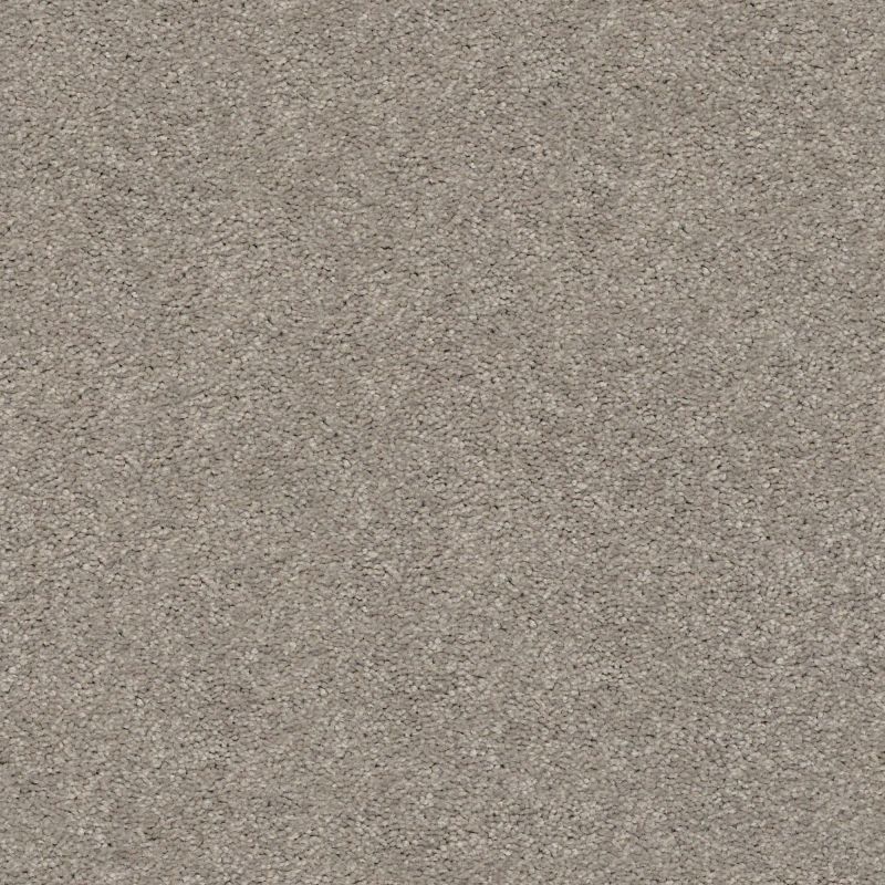 Shaw Floors Simply The Best Cabana Life Solid Perfect Taupe
