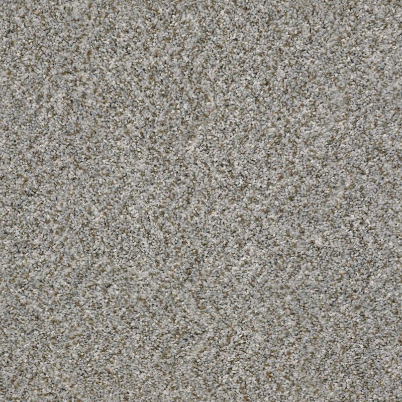 Shaw Floors Simply The Best Cabana Life (b) Sierra Mist