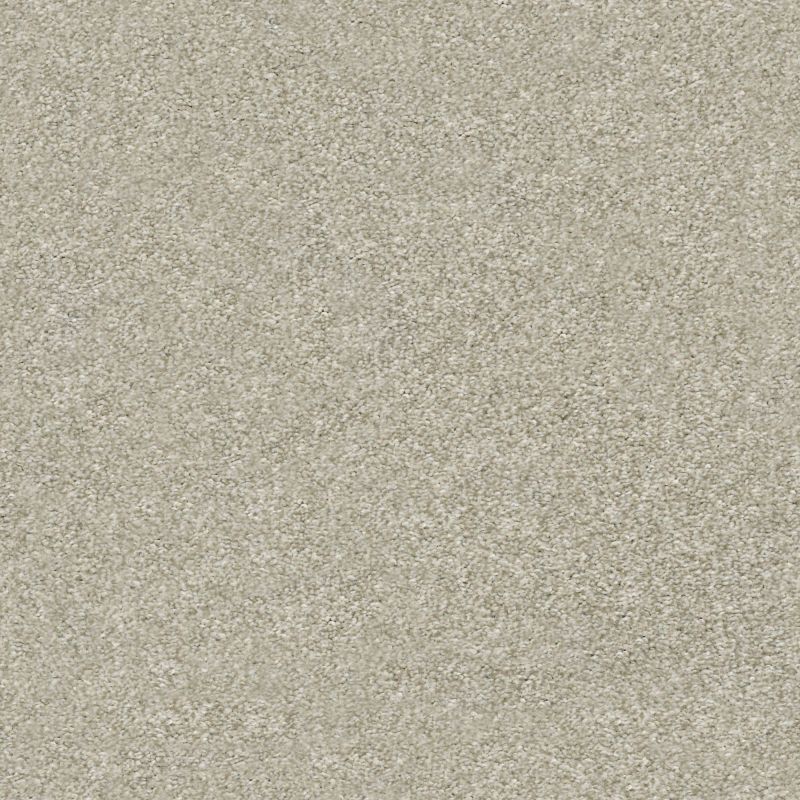 Shaw Floors Simply The Best Attainable Desert Light