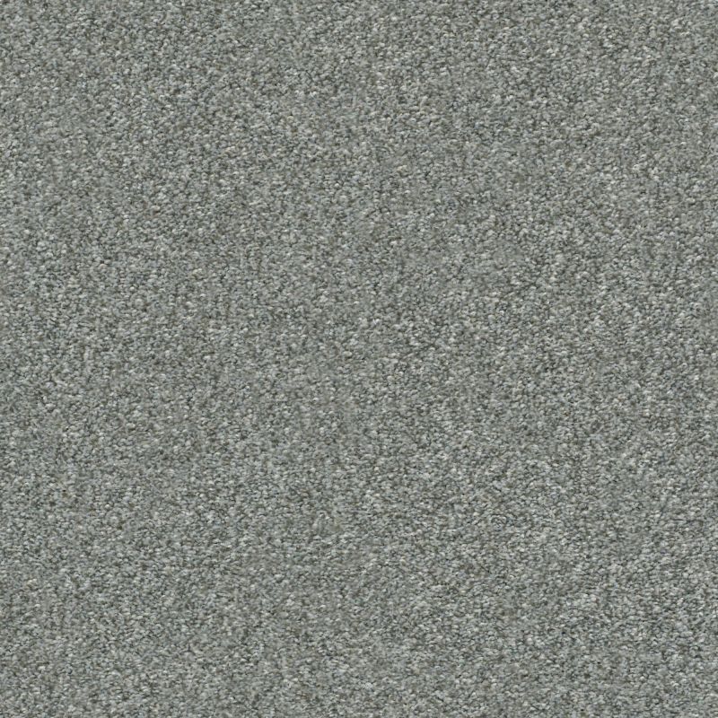 Shaw Floors Simply The Best Attainable Arctic Shadow