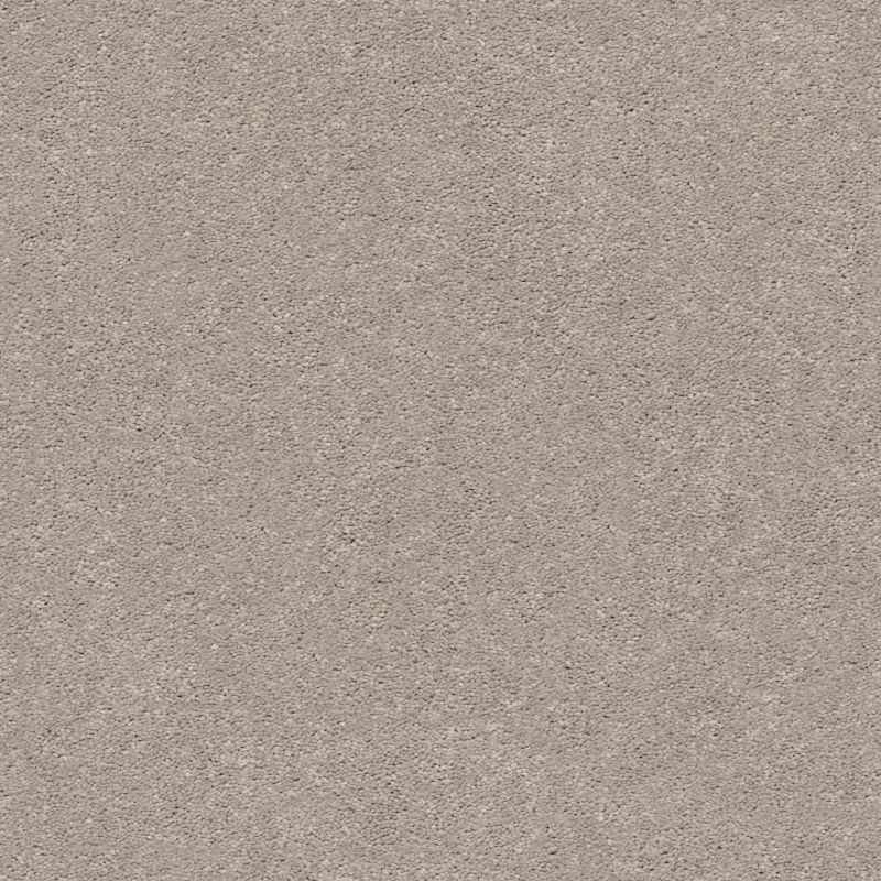 Shaw Floors Simply The Best Momentum II Boutique