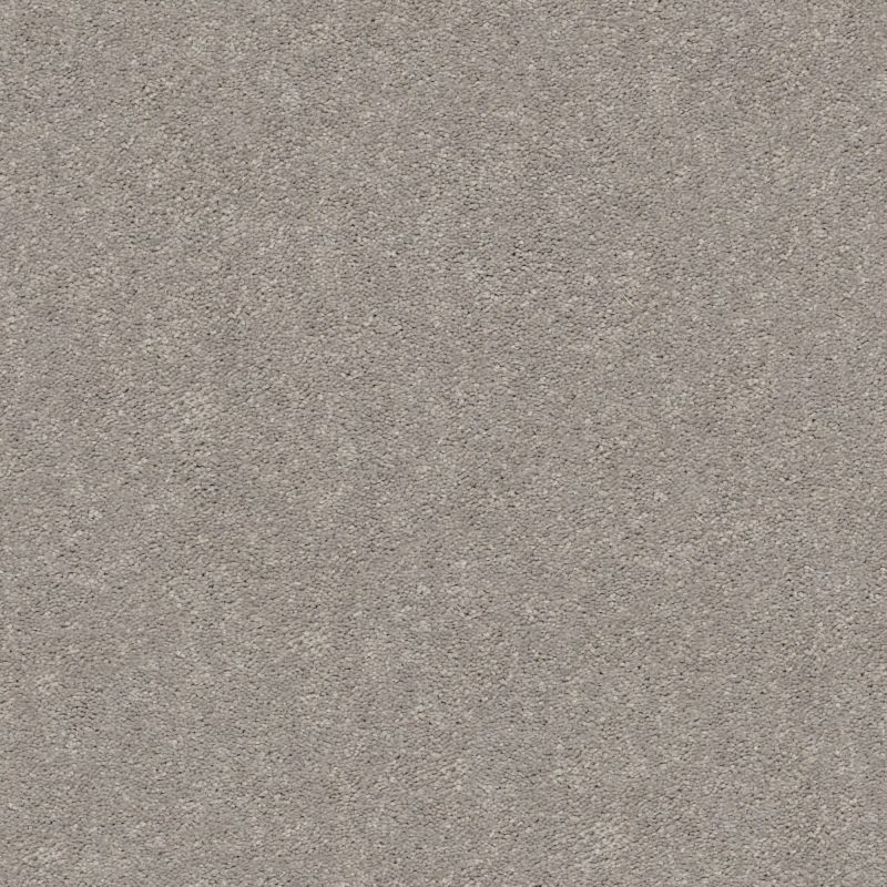 Shaw Floors Simply The Best Momentum II Canopy