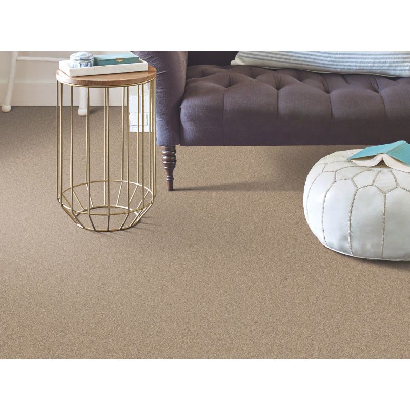 Shaw Floors Simply The Best Momentum II Canyon Buff