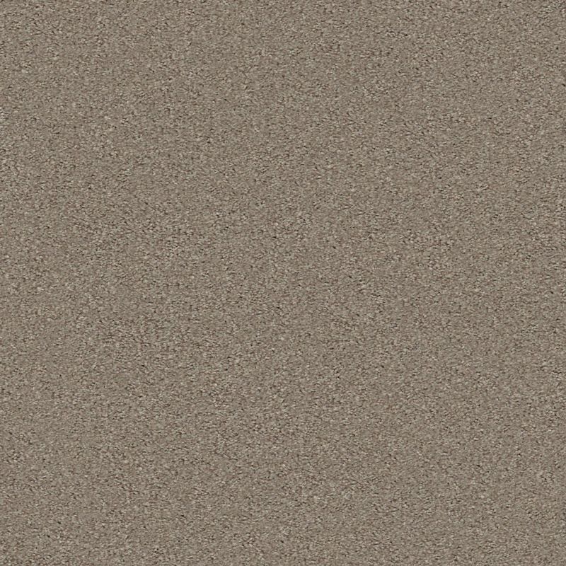 Shaw Floors Simply The Best Momentum II Hickory Manor