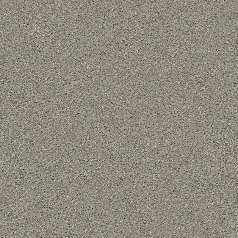 Shaw Floors Simply The Best Momentum II Rockslide