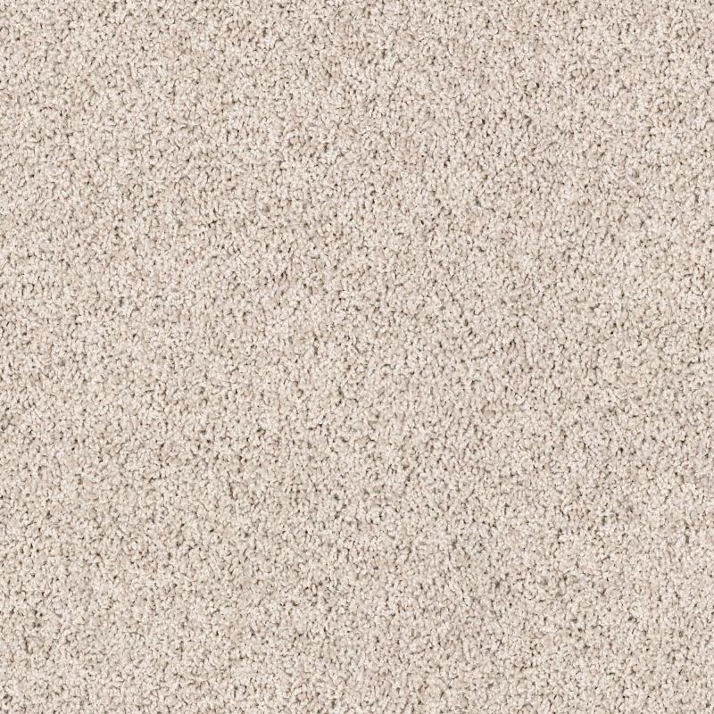 Shaw Floors SFA Weatherford Worldly
