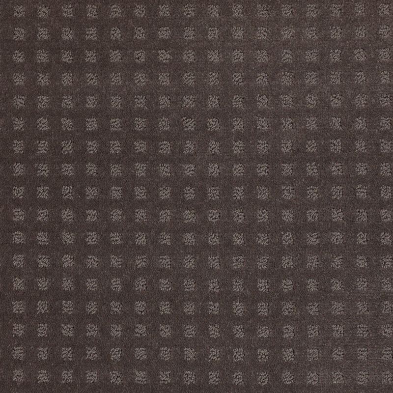 Shaw Floors SFA The Fair Steel Beam