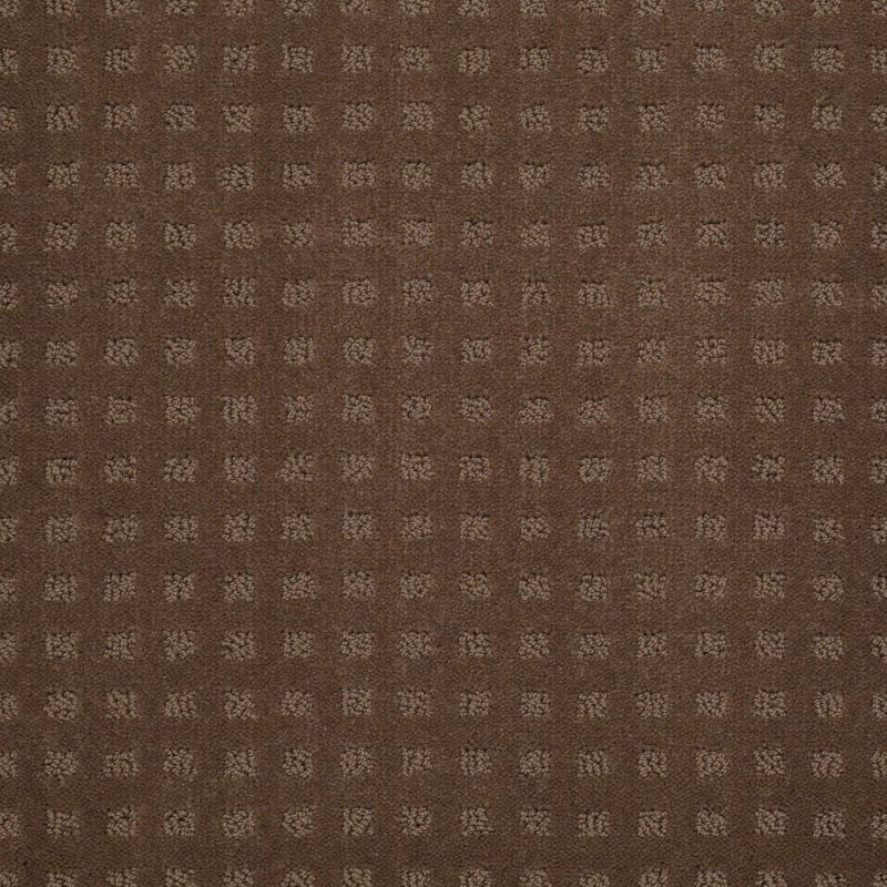 Shaw Floors SFA The Fair Driftwood