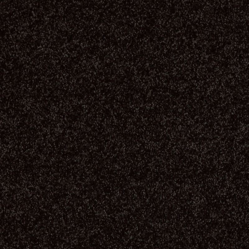 Shaw Floors SFA Drexel Hill III 12' Armour