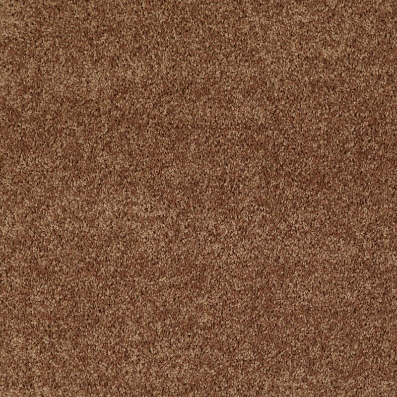 Shaw Floors SFA Drexel Hill III 12' Desert Sunrise
