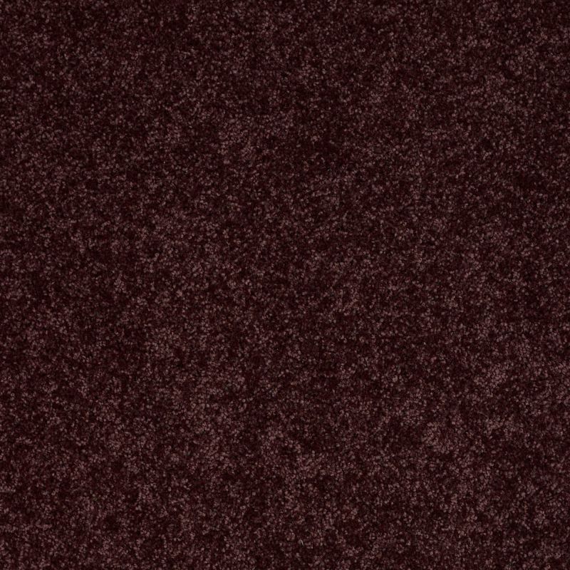Shaw Floors SFA Drexel Hill III 12' Royal Purple