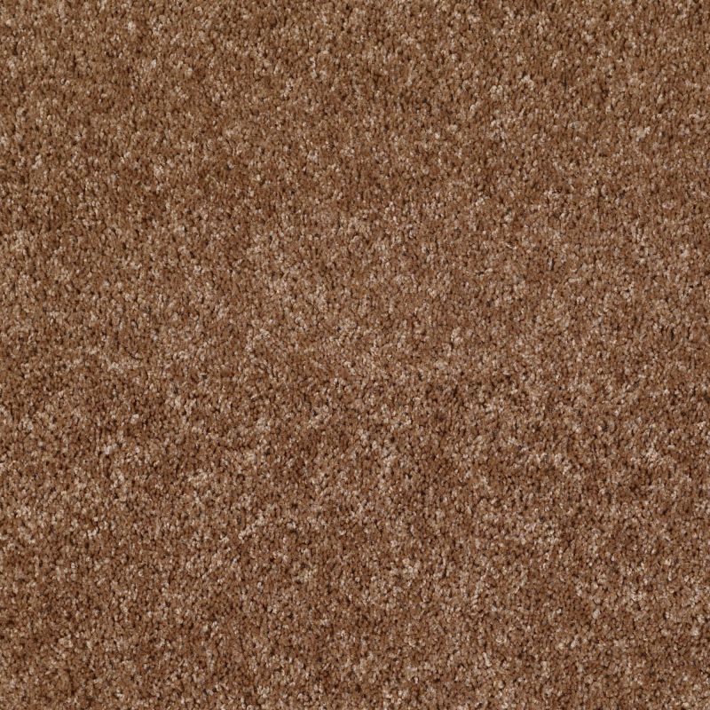 Shaw Floors SFA Dynamic World 12 (s) Barn Wood