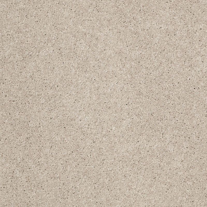 Shaw Floors SFA Source II Fossil