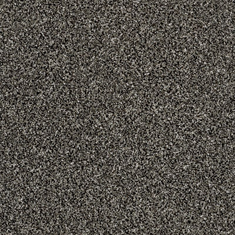 Shaw Floors Value Collections Breathe & Reflect Net Meteorite