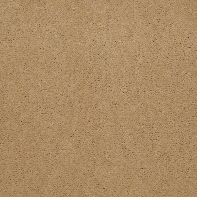 Philadelphia Commercial Equity Baytown II 36 Camel