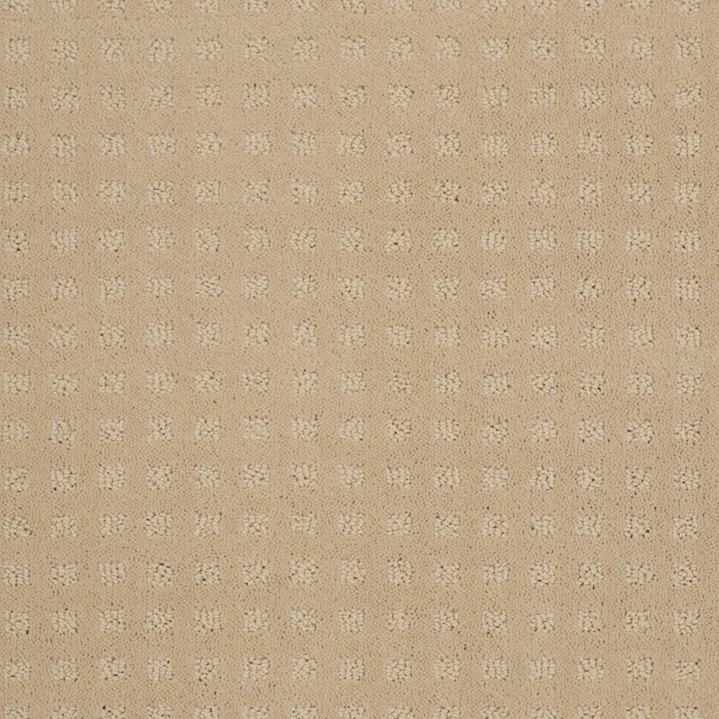 Shaw Floors Shaw Floor Studio Style With Ease Abalone