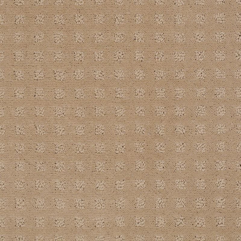 Shaw Floors Shaw Floor Studio Style With Ease Tusk