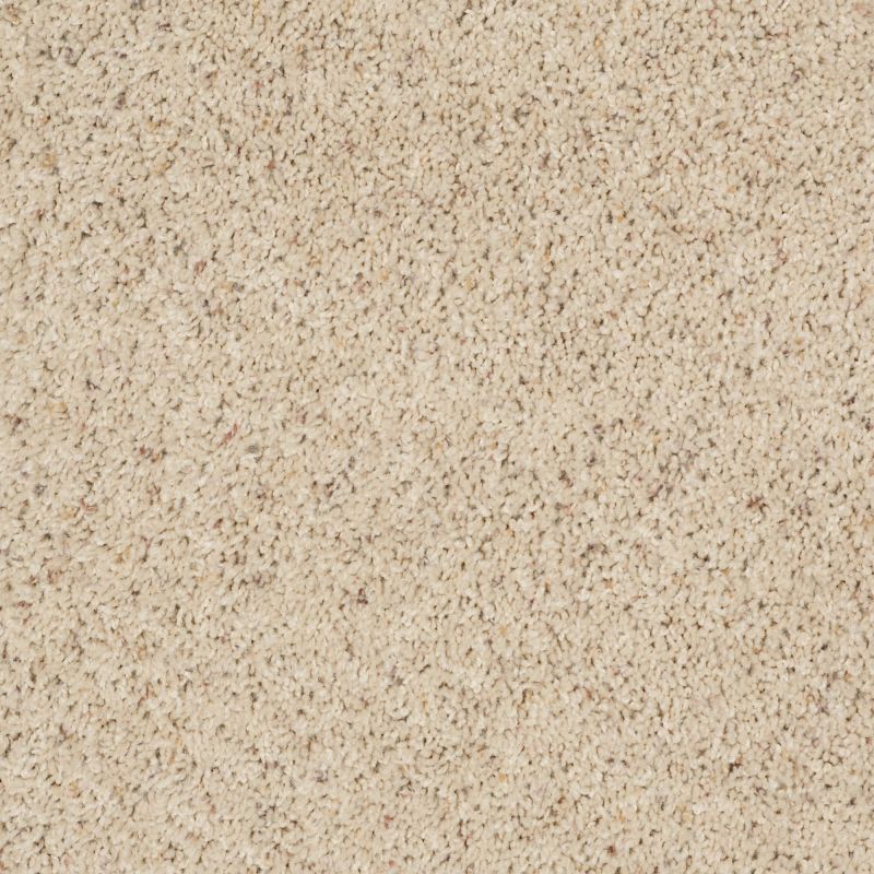 Shaw Floors Shaw Floor Studio Complete Allure (b) Warm Shadow