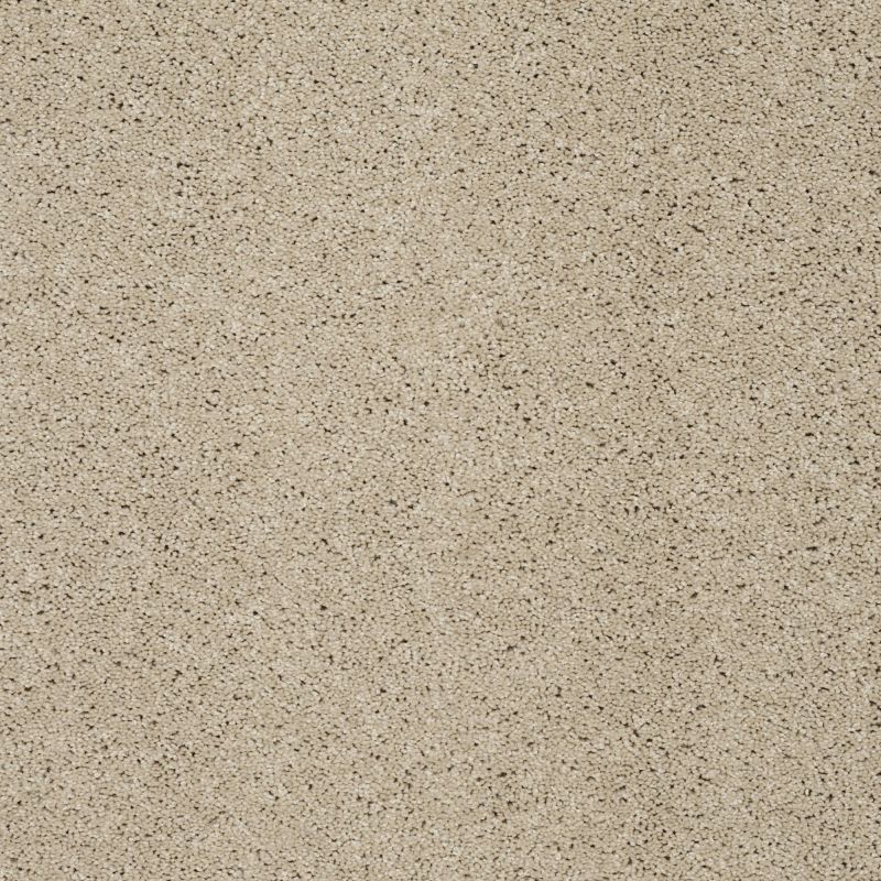Shaw Floors Shaw Floor Studio Around The House III Stucco
