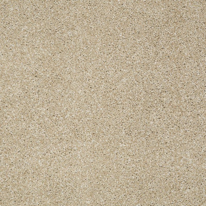 Shaw Floors Shaw Floor Studio Gelato Field Stone