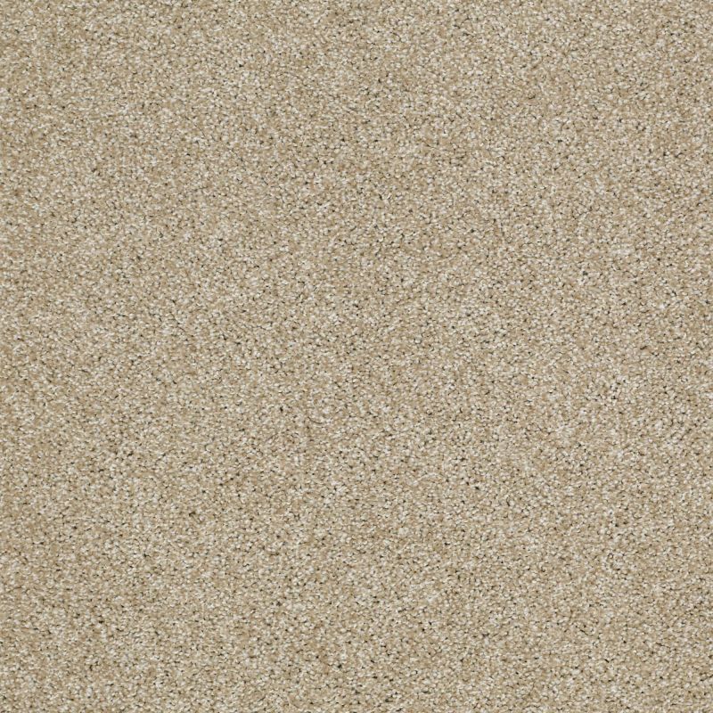 Shaw Floors Shaw Floor Studio Gelato Wool Skein