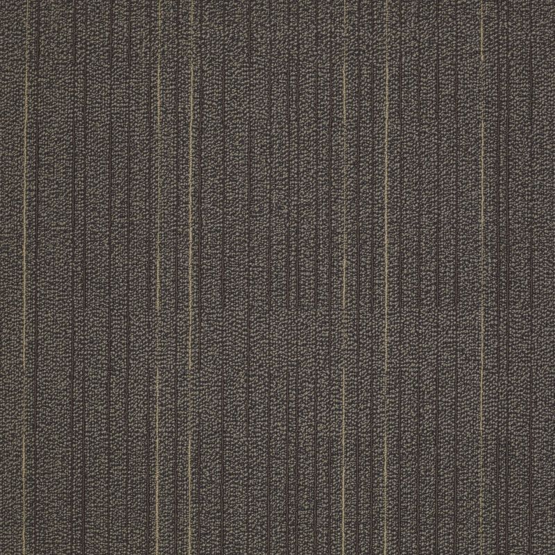 Philadelphia Commercial Immerse Study