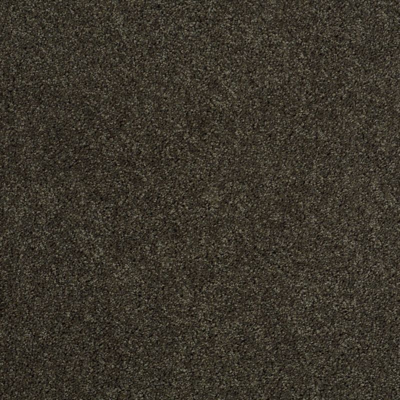 Shaw Floors St Jude In A Twinkling Green House