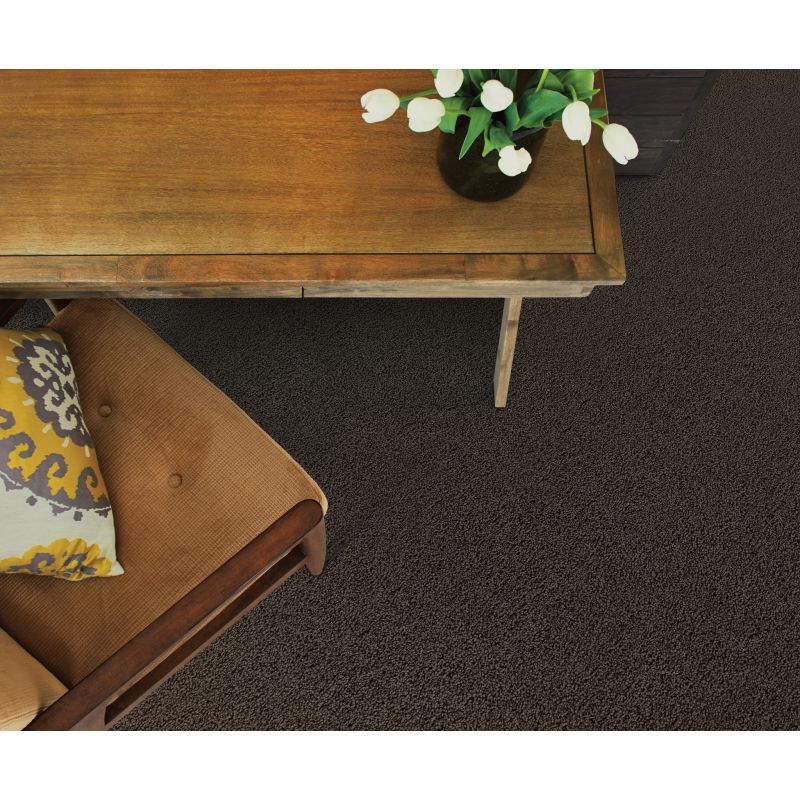 Shaw Floors SFA My Inspiration III Chocolate