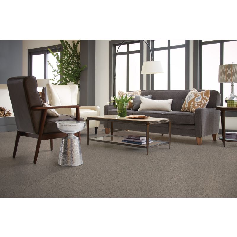 Shaw Floors SFA My Inspiration I Rocky Coast