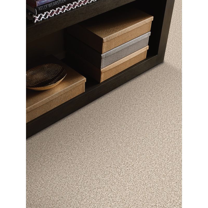 Shaw Floors FOUNDATIONS Take The Floor Accent II Avalanche