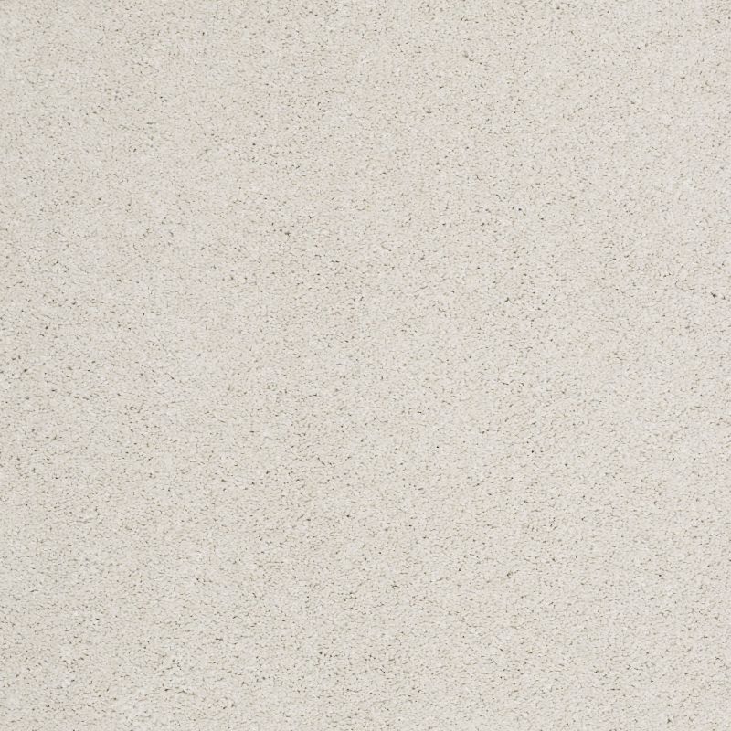 Shaw Floors Nfa/Apg Barracan I Suffolk