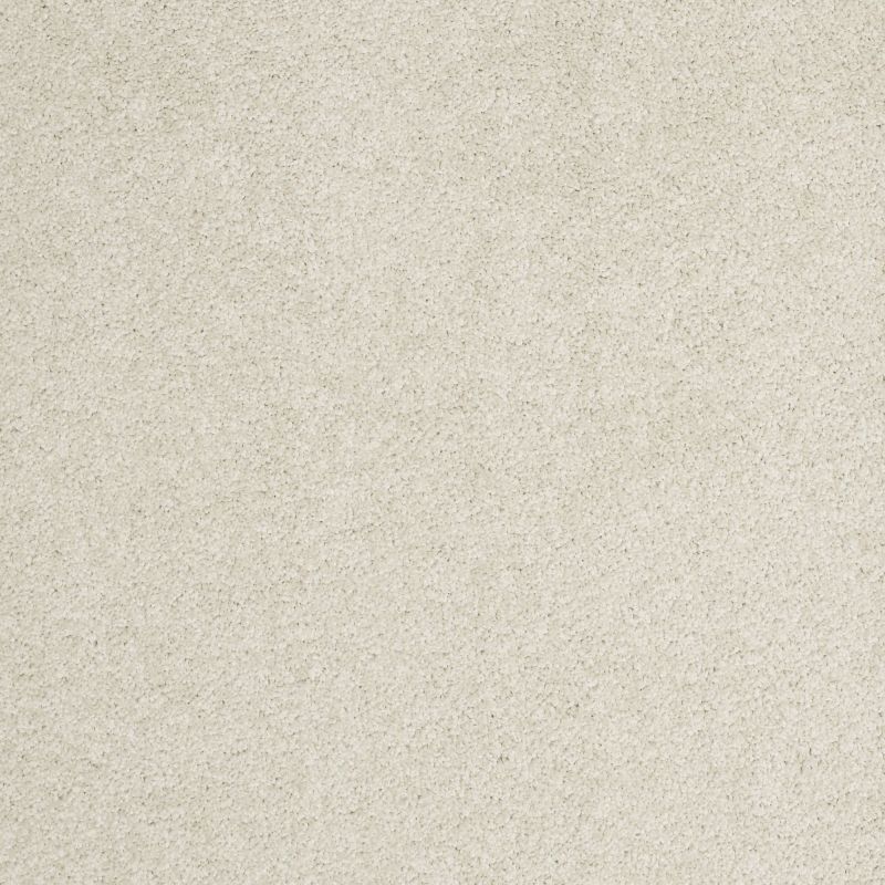 Shaw Floors Nfa/Apg Barracan I Cheviot