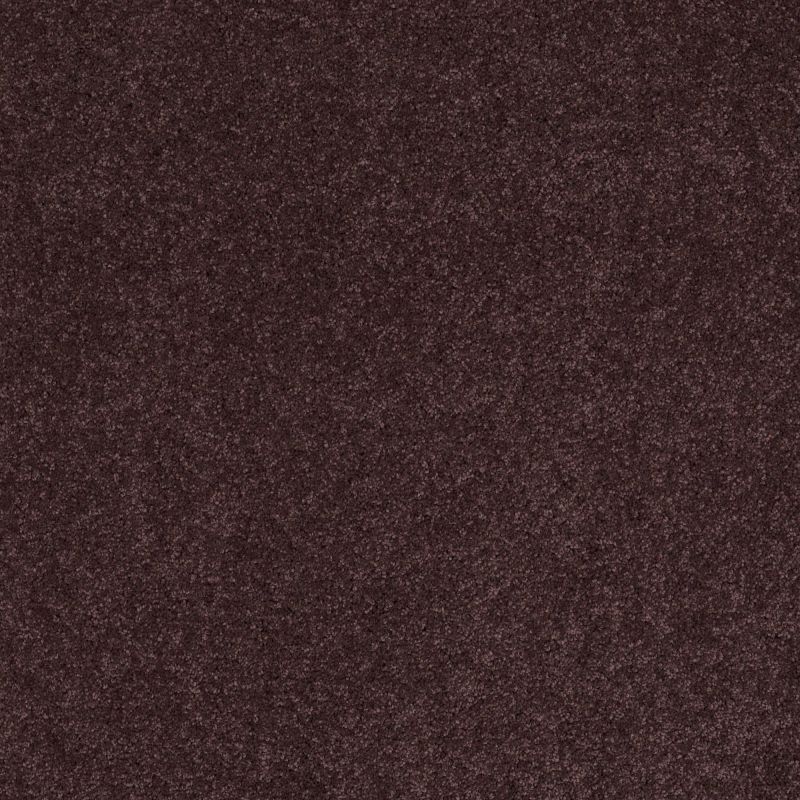 Shaw Floors Nfa/Apg Barracan I Mountain Haze