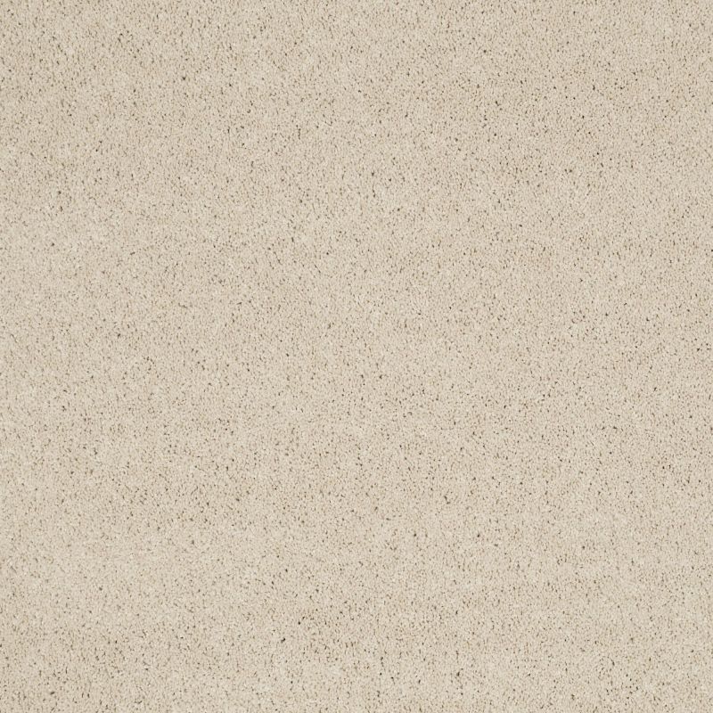 Shaw Floors Nfa/Apg Barracan Iv Cheviot