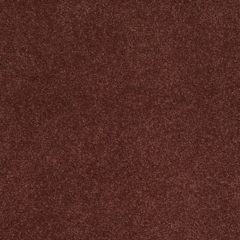 Shaw Floors Nfa/Apg Barracan Iv Guanaco