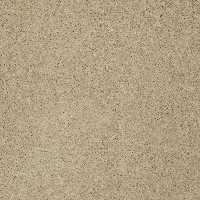 Shaw Floors Nfa/Apg Detailed Style III Mesa