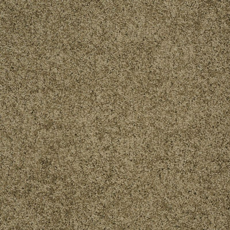 Shaw Floors Nfa/Apg Detailed Style III Summerhouse