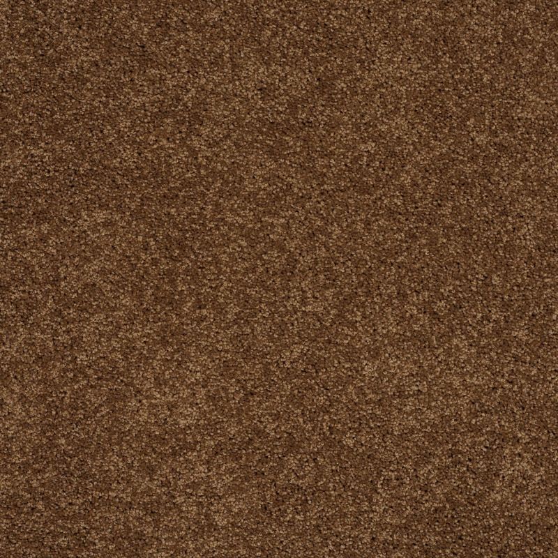 Shaw Floors Nfa/Apg Detailed Style III Cabin