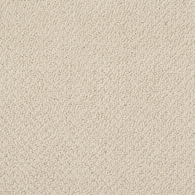 Shaw Floors Nfa/Apg Detailed Art Loop French Linen