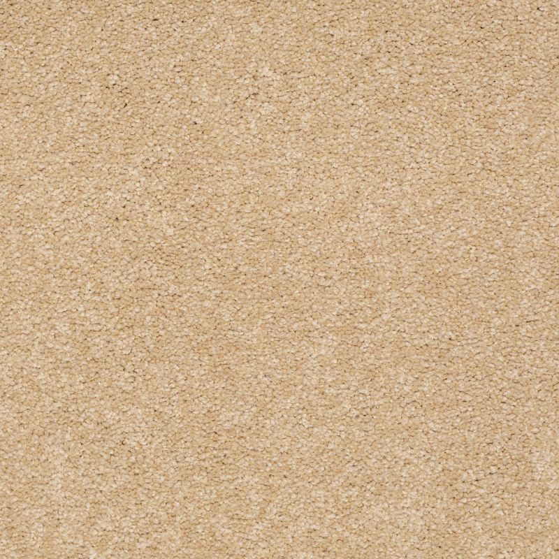 Shaw Floors Nfa/Apg Endura II 15' Cornfield