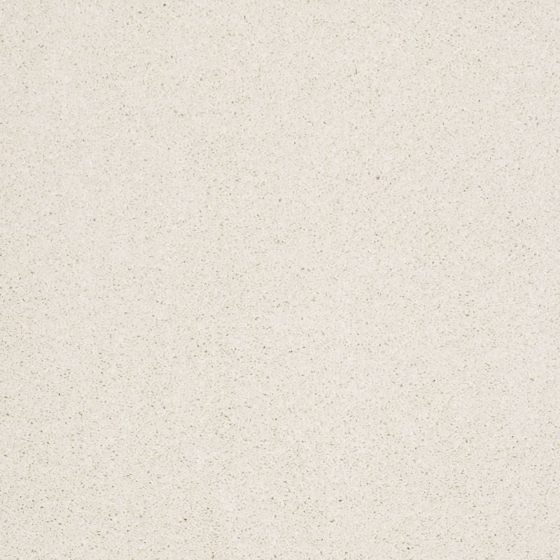 Shaw Floors Nfa/Apg Barracan Classic I Icelandic