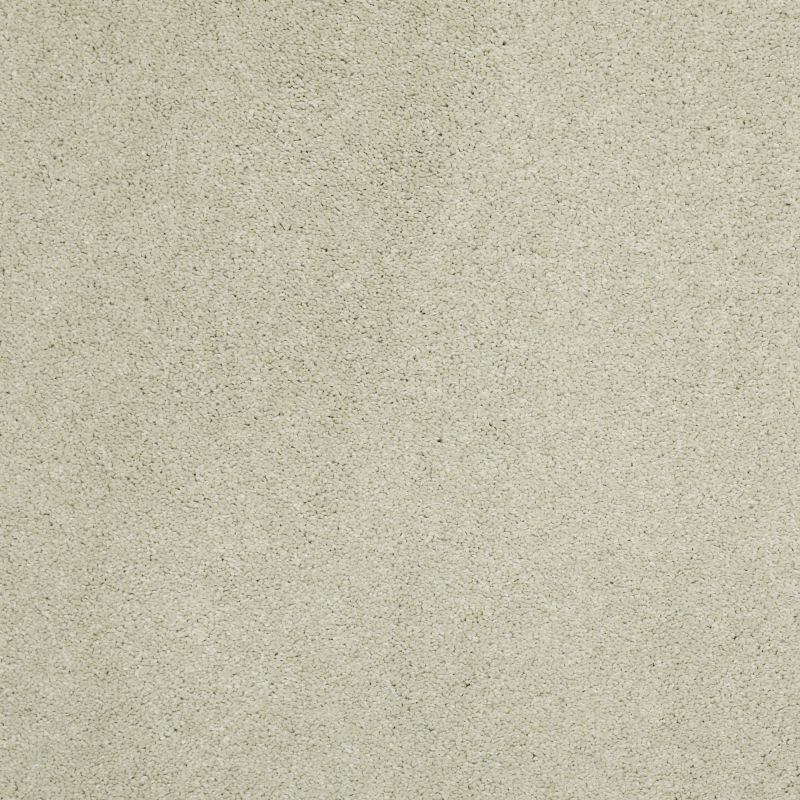 Shaw Floors Nfa/Apg Barracan Classic I Celadon