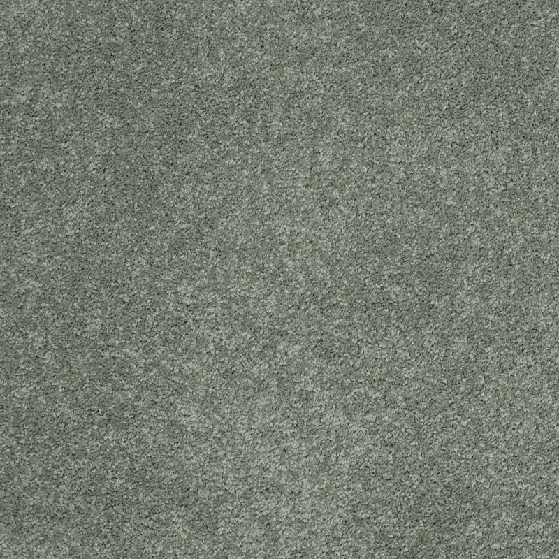 Shaw Floors Nfa/Apg Barracan Classic II Jade