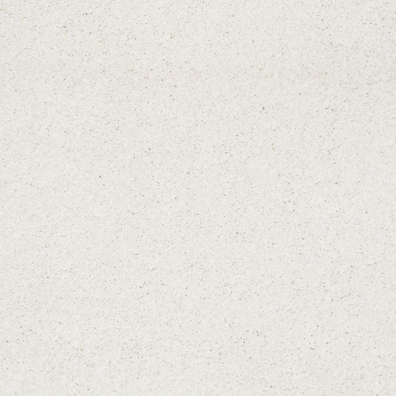 Shaw Floors Nfa/Apg Barracan Classic Iv Crisp