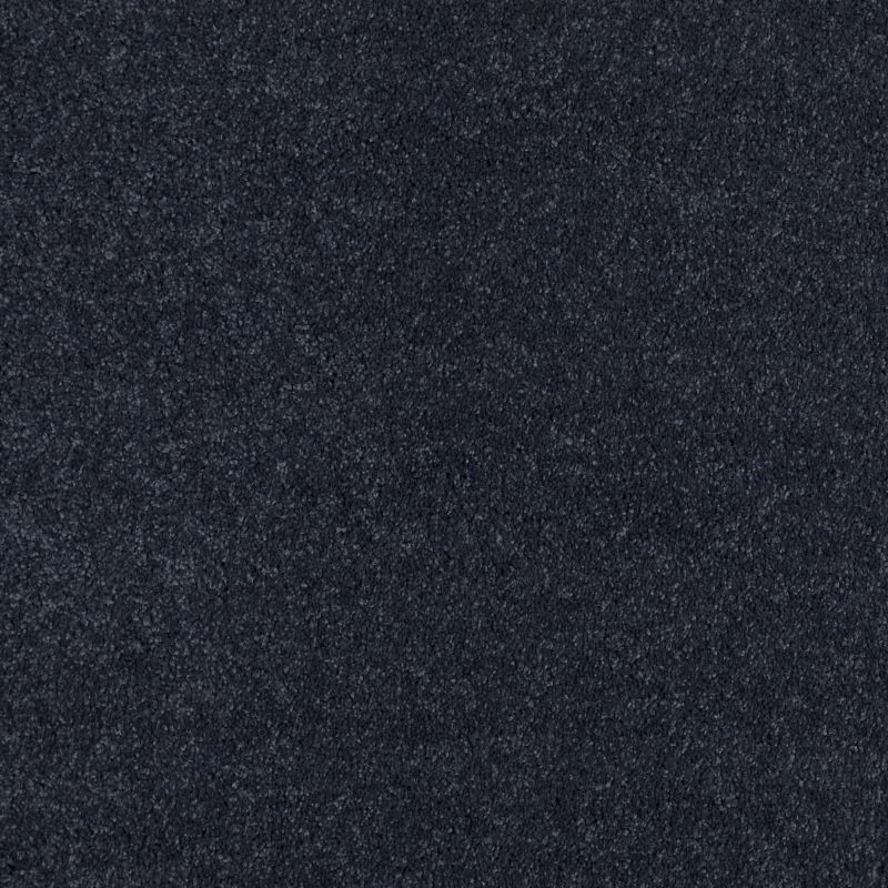 Shaw Floors Nfa/Apg Barracan Classic Iv Deep Indigo