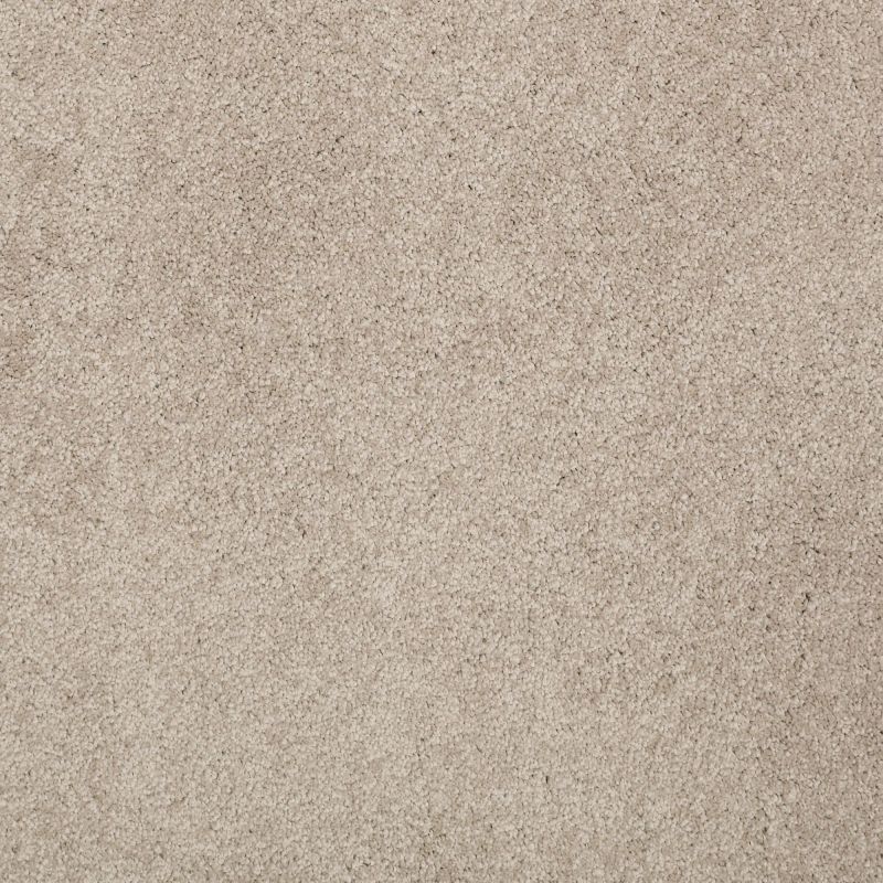 Shaw Floors Nfa/Apg Barracan Classic Iv White Pine