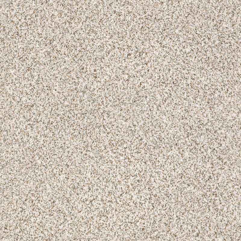 Shaw Floors Nfa/Apg Pekin Classic III Heath