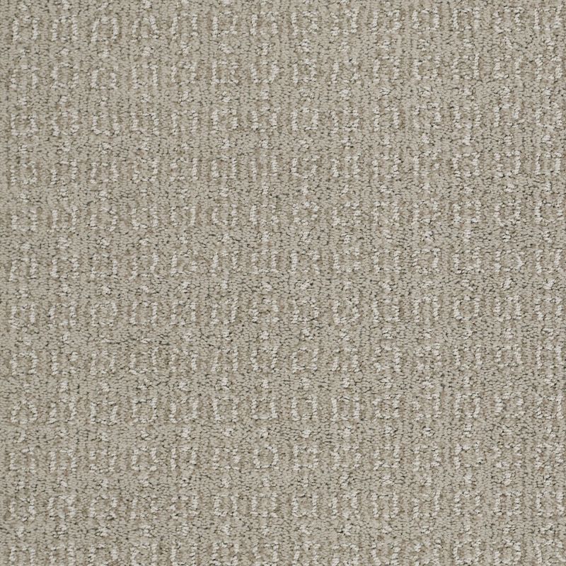 Shaw Floors Nfa/Apg Chic Classic Crete